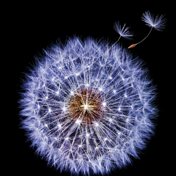 Meet your Posher, Barbara - Picture 1 of 1